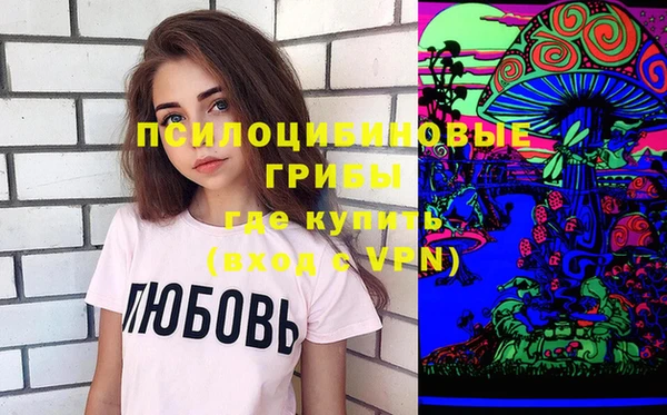 apvp Аркадак